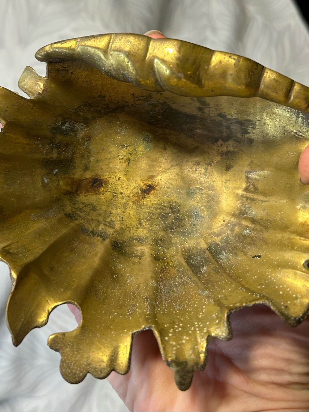 ✨ Brass Seashell Dish✨ - Picture 4 of 8